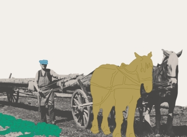 Hestevogn med tømmer Hestevogn med tømmer