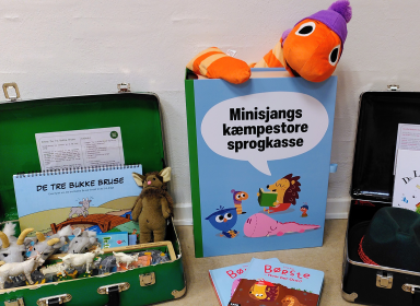 Foto af et udvalg af sprogkufferter.