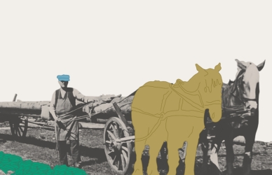 Hestevogn med tømmer